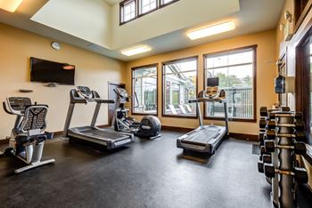 Fitness Center with Cardio and Free Weights